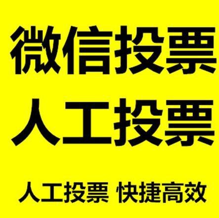 益阳市微信投票哪个速度快？